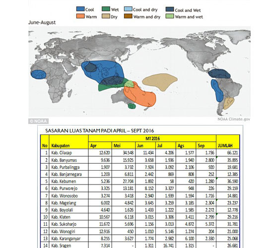 Mentan: Jangan Sia-siakan `Berkah La Nina` untuk Luas Tambah Tanam